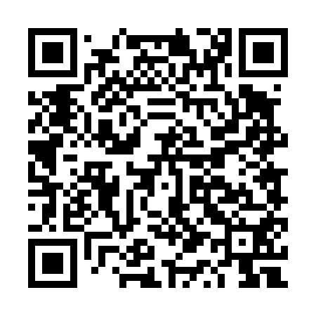 QR code for DQ4450