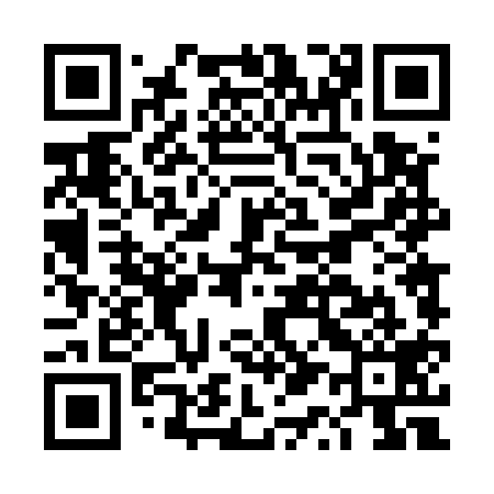 QR code for DQ4519