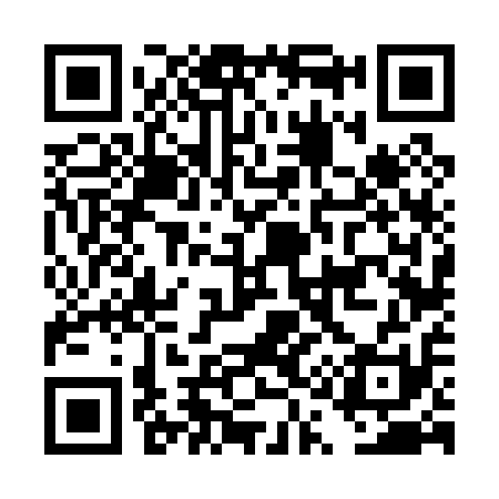 QR code for DQ6011