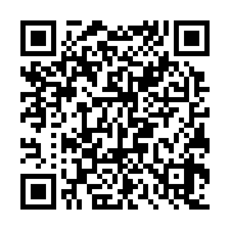QR code for DQ7338