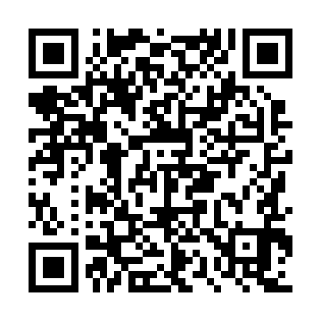 QR code for DQ8291
