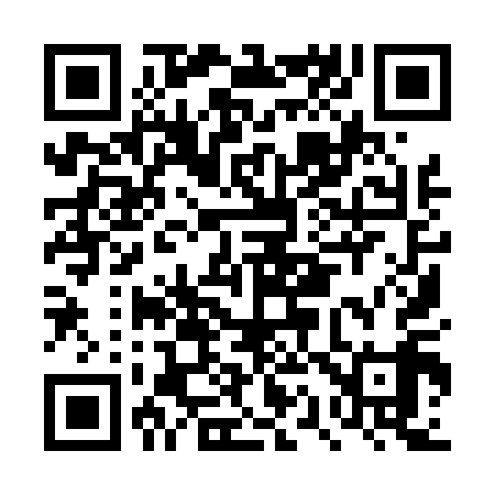 QR code for DQ9419