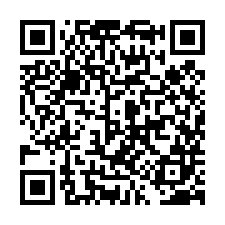 QR code for DQ9482
