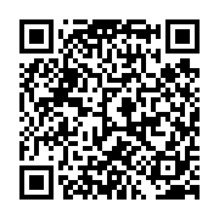 QR code for DQ9610
