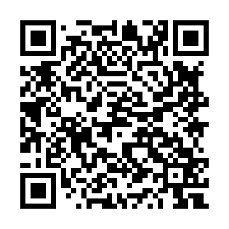 QR code for DQ9863