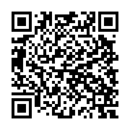QR code for DR4007
