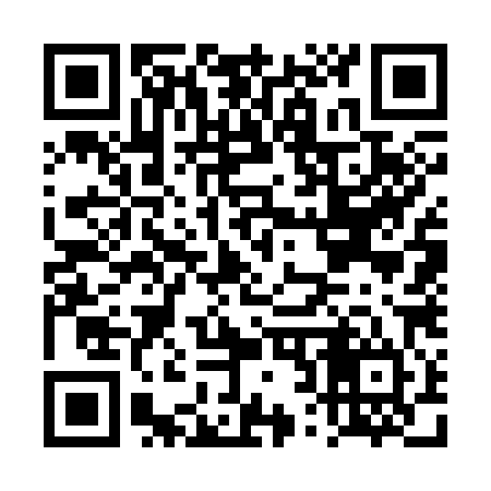 QR code for DR7384