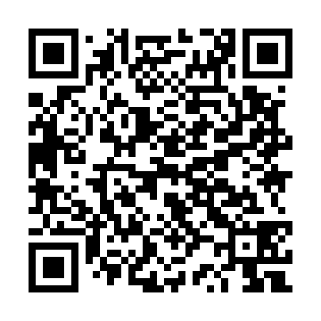 QR code for DR9538