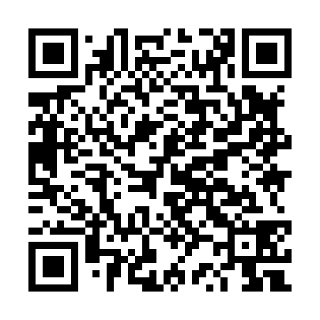 QR code for DR9838