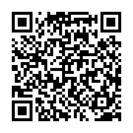 QR code for DS0234
