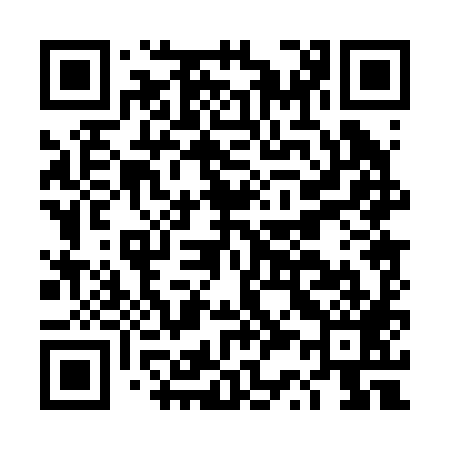 QR code for DS0289