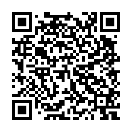 QR code for DS0400