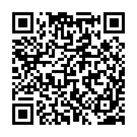 QR code for DS1197