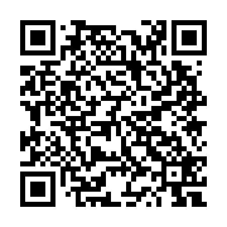 QR code for DS1729