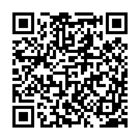 QR code for DS2453
