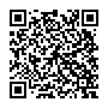 QR code for DS2667