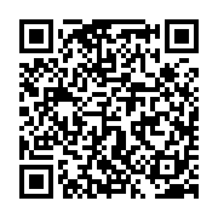 QR code for DS2911