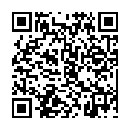 QR code for DS2981
