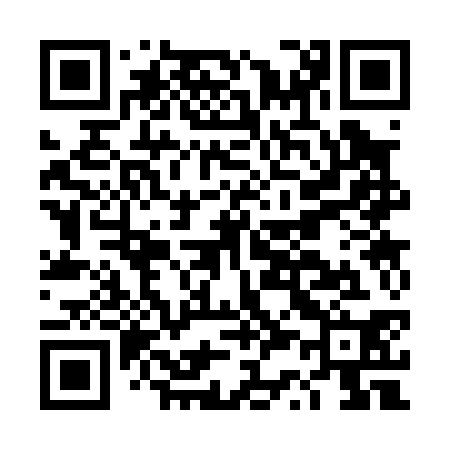 QR code for DS3030