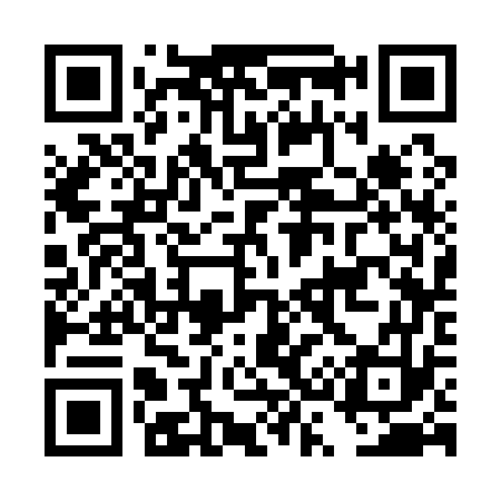 QR code for DS3173