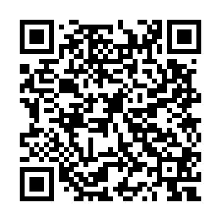 QR code for DS3500