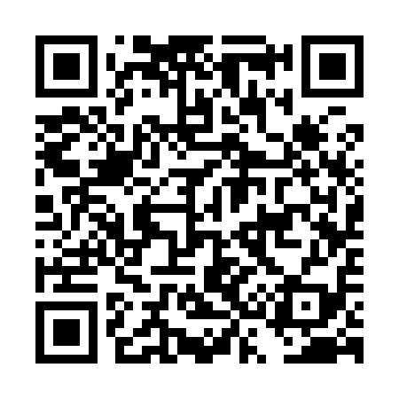 QR code for DS3919