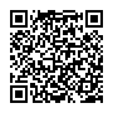 QR code for DS4003