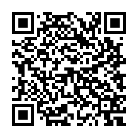 QR code for DS4124