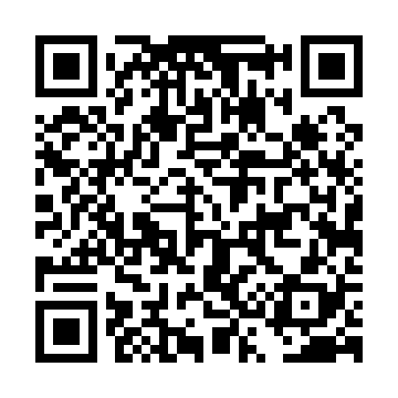 QR code for DS4128