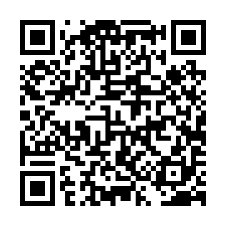 QR code for DS4290