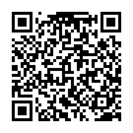 QR code for DS4300