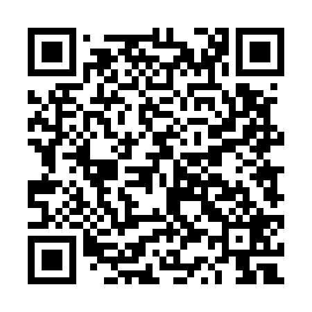 QR code for DS4529