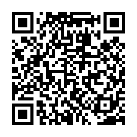 QR code for DS5411