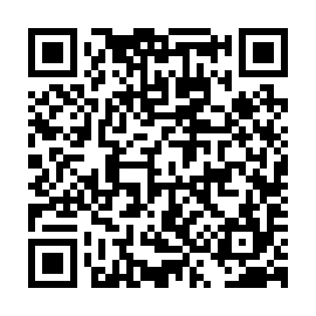 QR code for DS6294