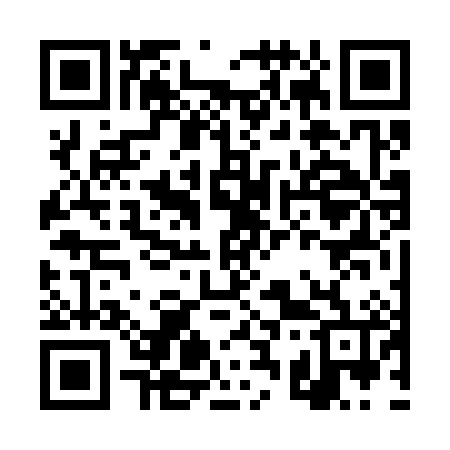 QR code for DS6386