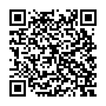 QR code for DS7303