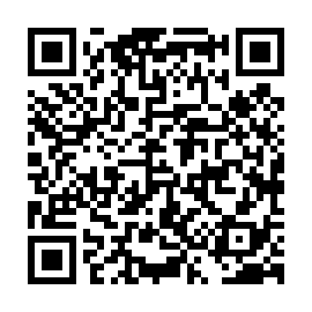 QR code for DS8438