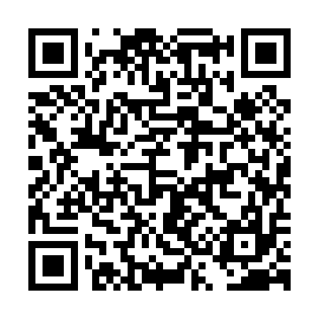 QR code for DS9017