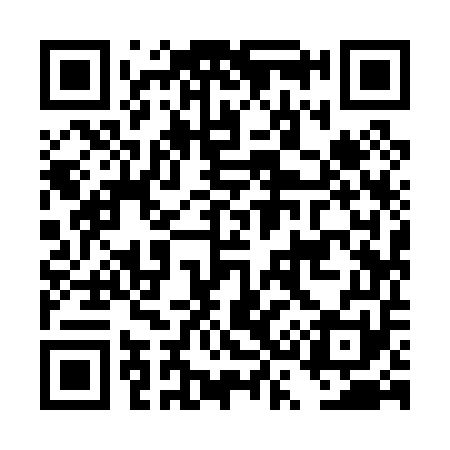 QR code for DS9051