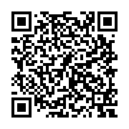 QR code for DS9191