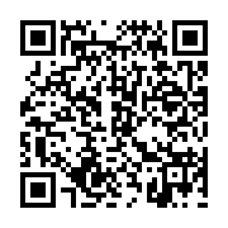 QR code for DS9393
