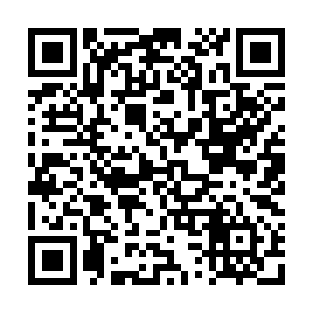 QR code for DS9394