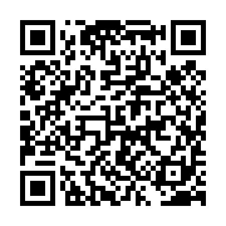 QR code for DS9491