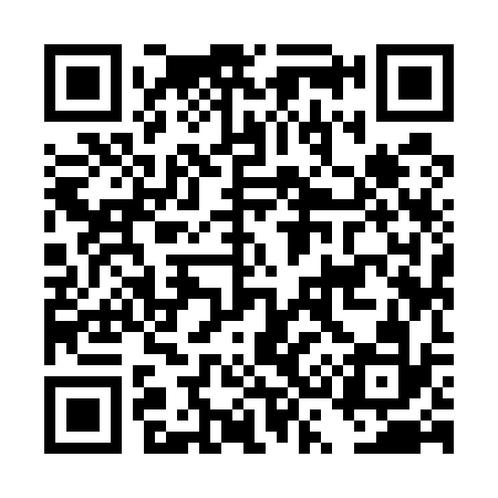 QR code for DS9532