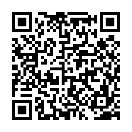 QR code for DS9536