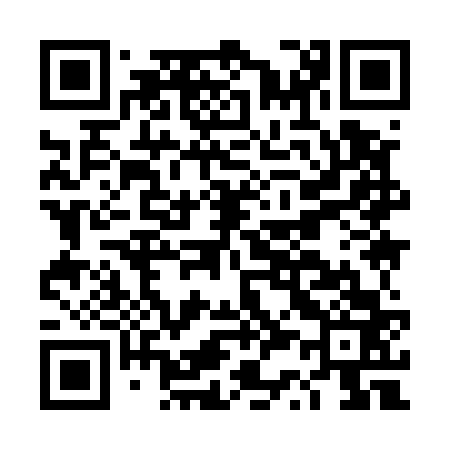 QR code for DS9563