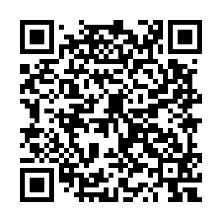 QR code for DS9593