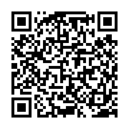 QR code for DS9633