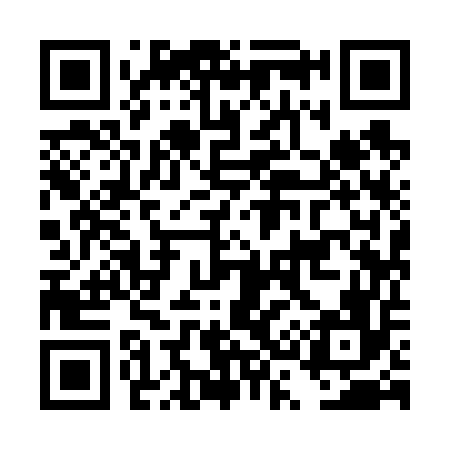 QR code for DS9656
