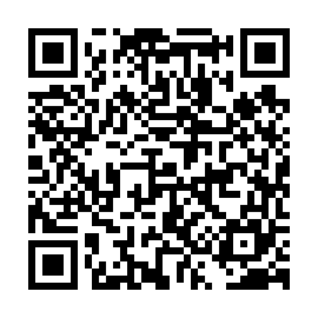 QR code for DS9665
